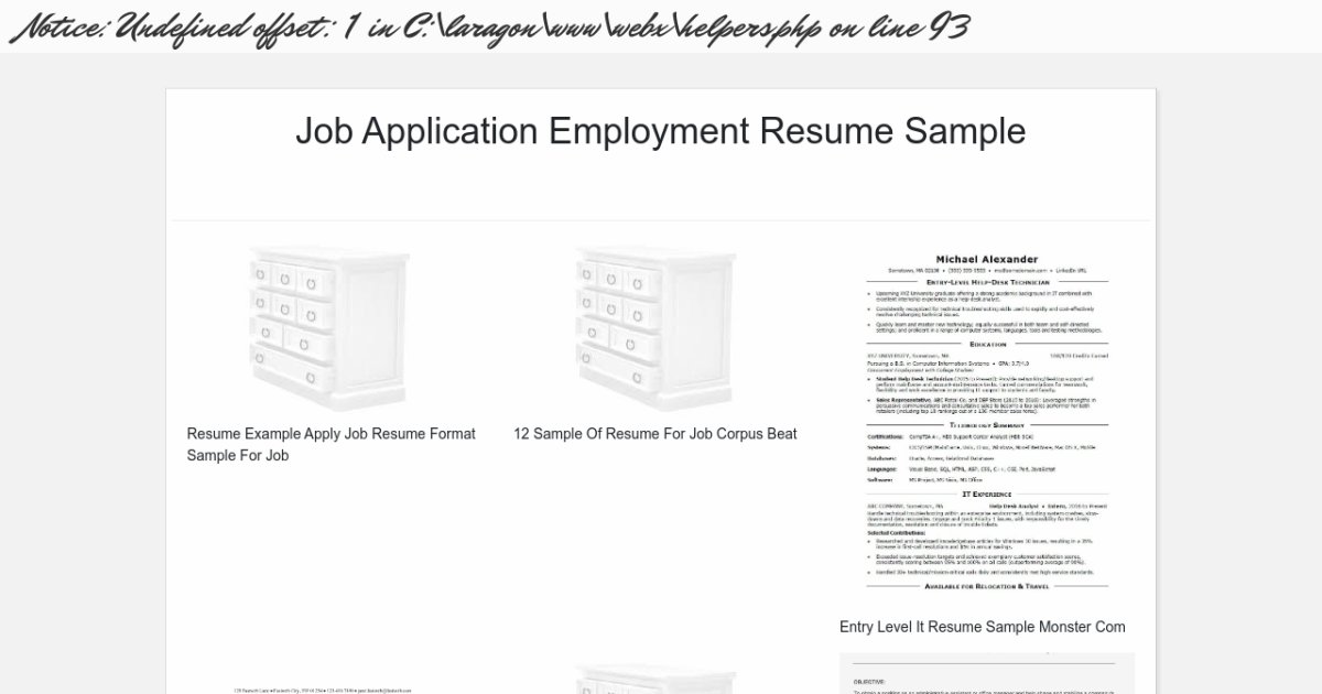 Job Application Employment Resume Sample