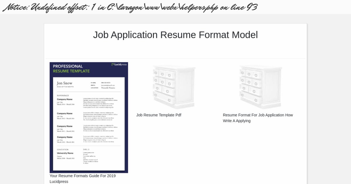 job-application-resume-format-model