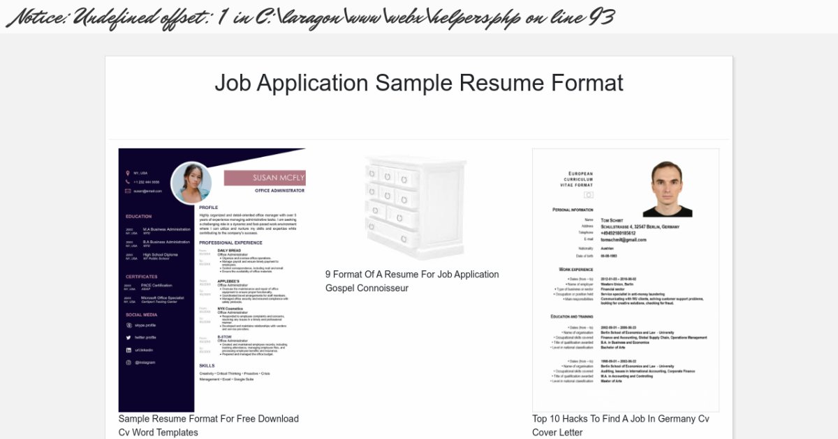 example of a resume for job application