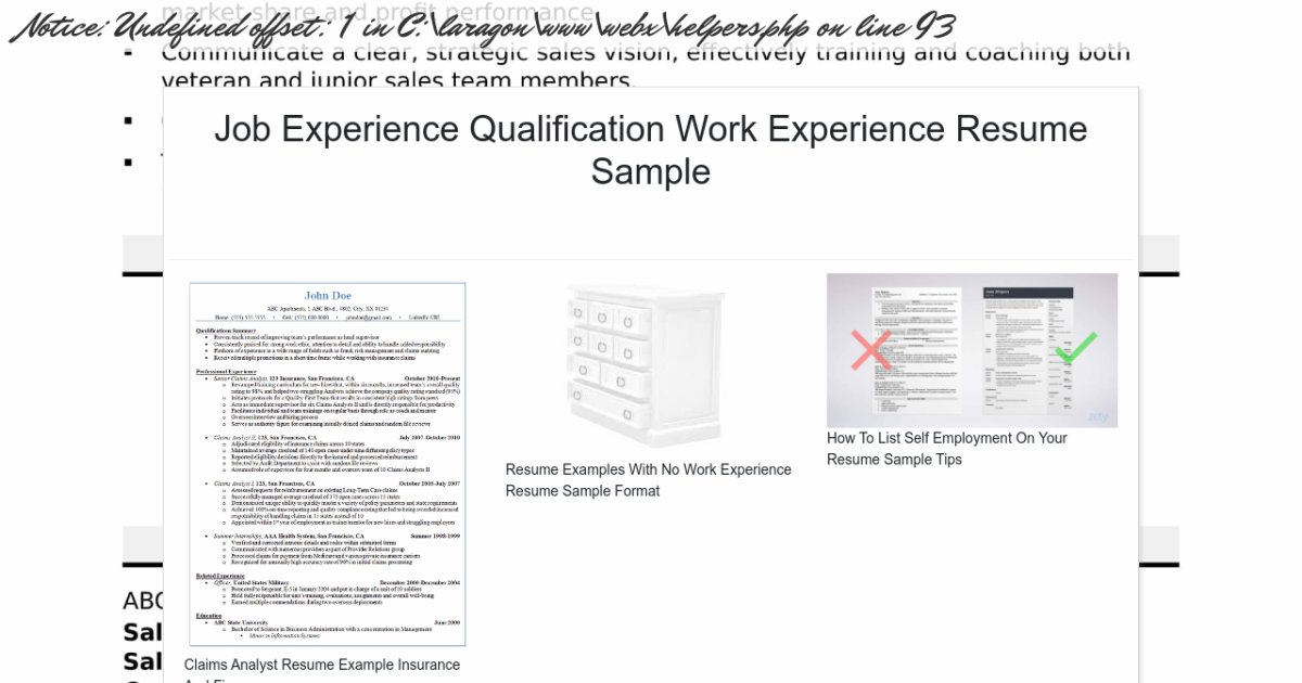 Job Experience Qualification Work Experience Resume Sample