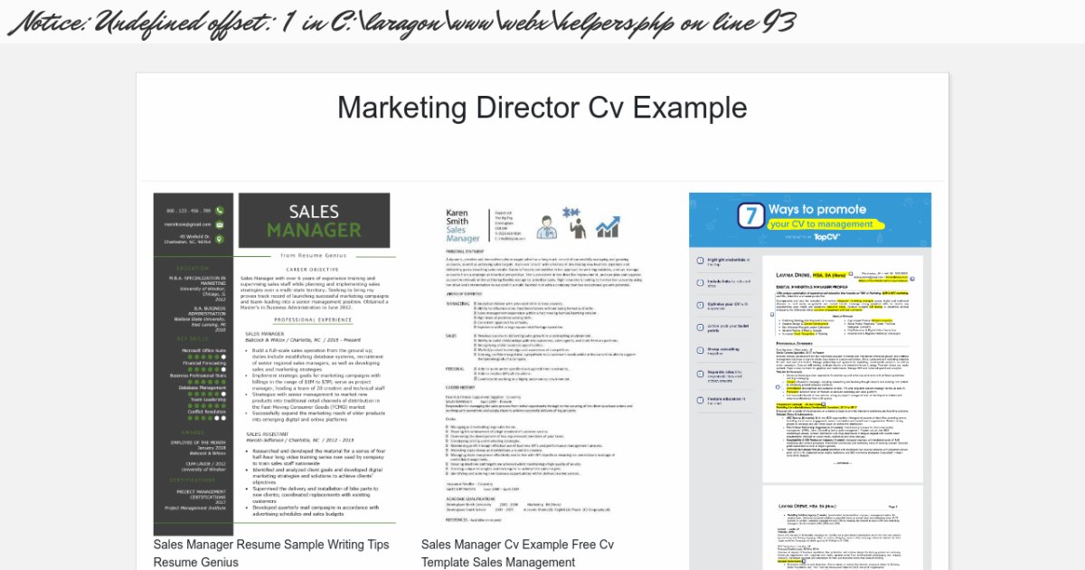 marketing-director-cv-example