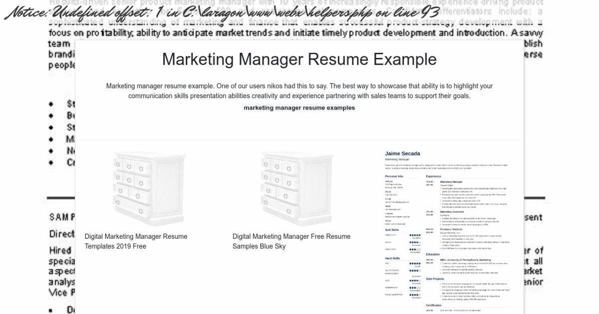 Marketing Manager Resume Example