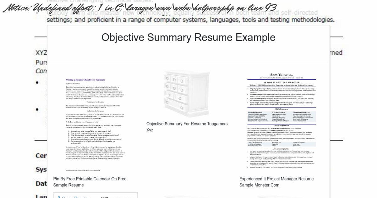 objective or summary on resume