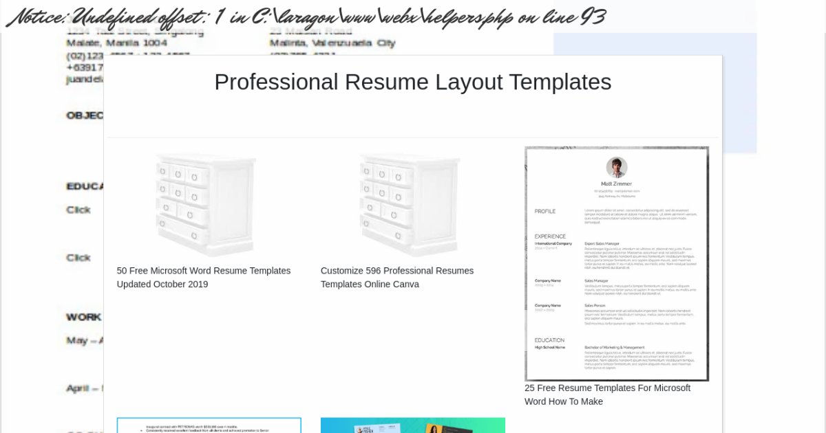 Professional Resume Layout Templates