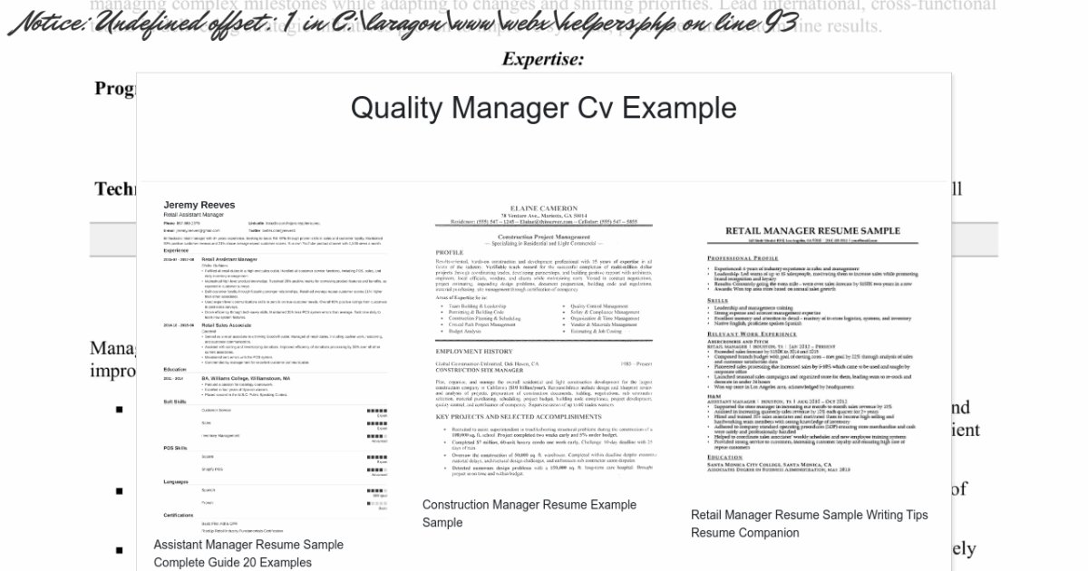 quality-manager-cv-example