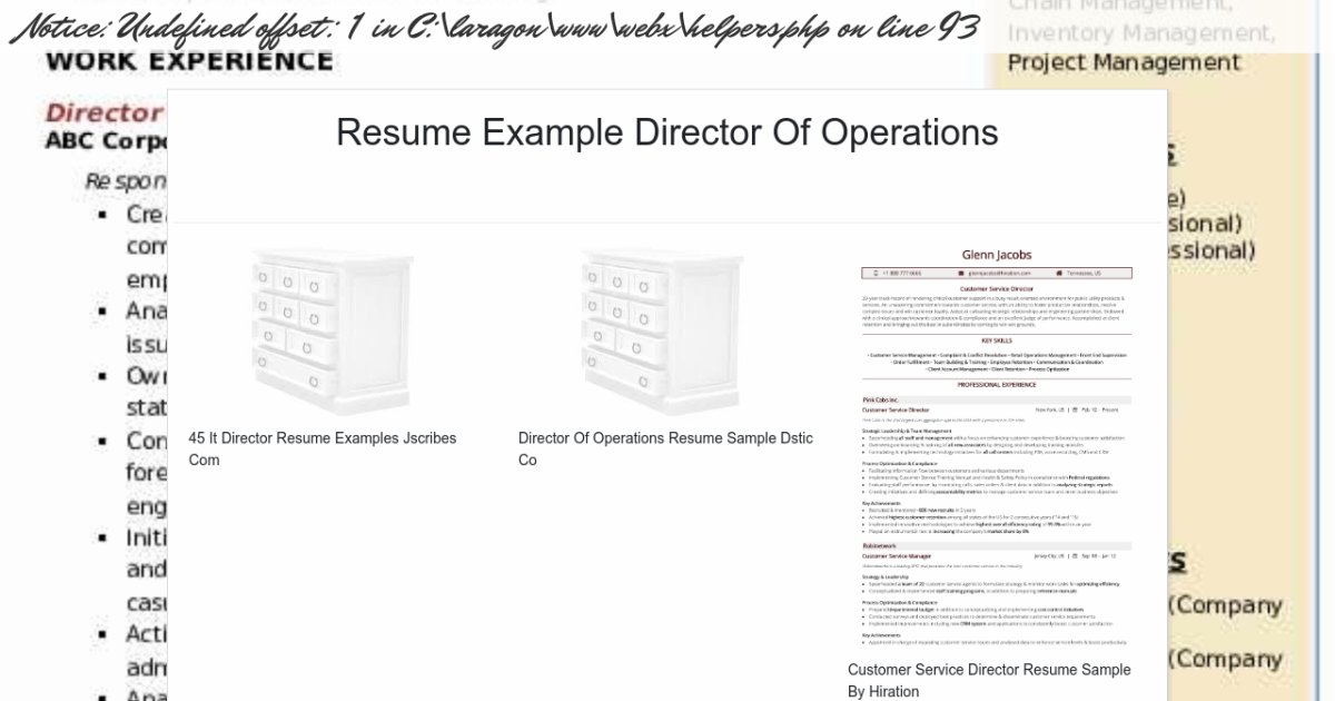 Resume Example Director Of Operations