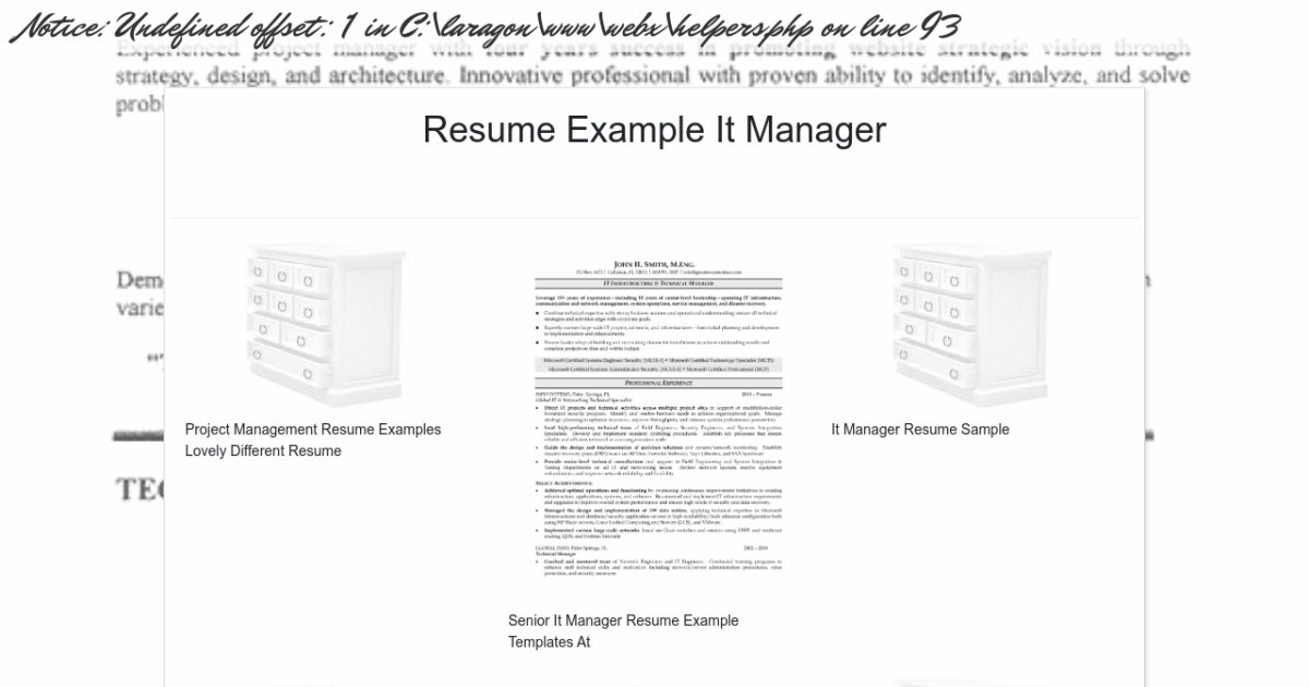 Resume Example It Manager