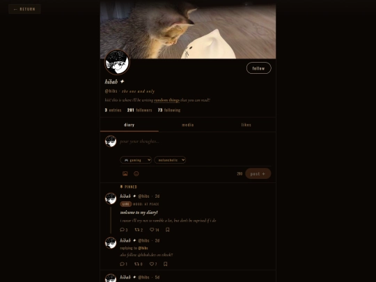 diary screenshot
