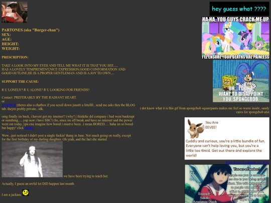 webmaster screenshot