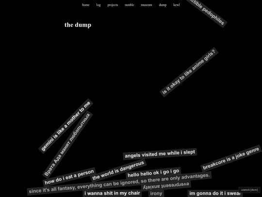 dump screenshot