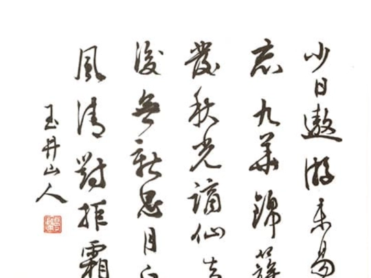 0051 screenshot