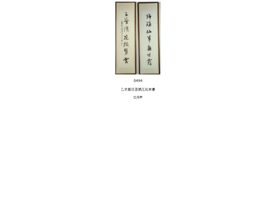 0494 screenshot