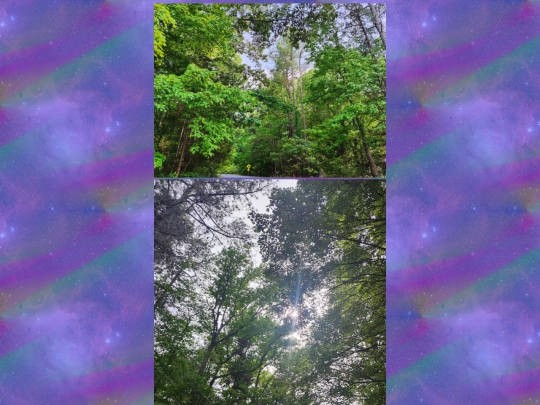 photography screenshot