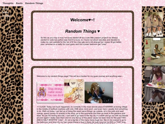RandomThings screenshot