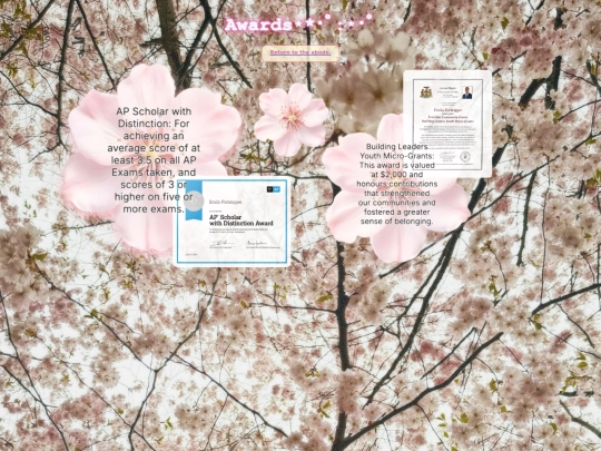 awards screenshot