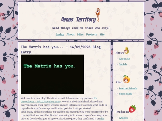 Website screenshot