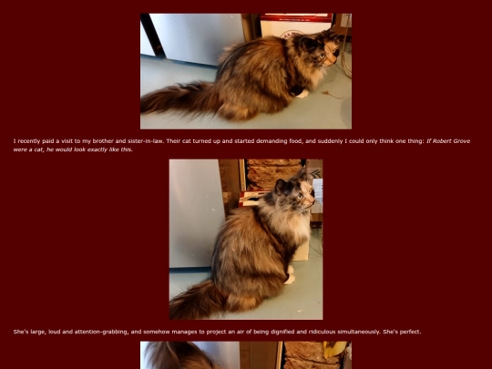 dressing/robert/cat screenshot