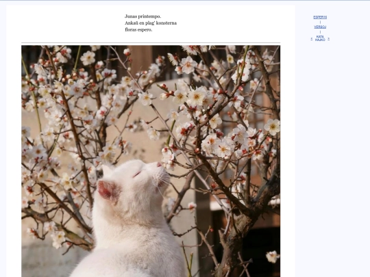 epo/verse/neko screenshot