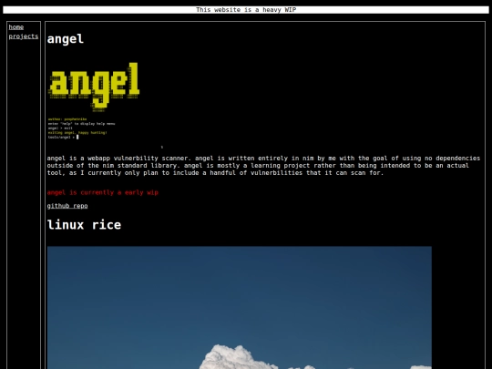 Website screenshot