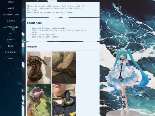 Website screenshot