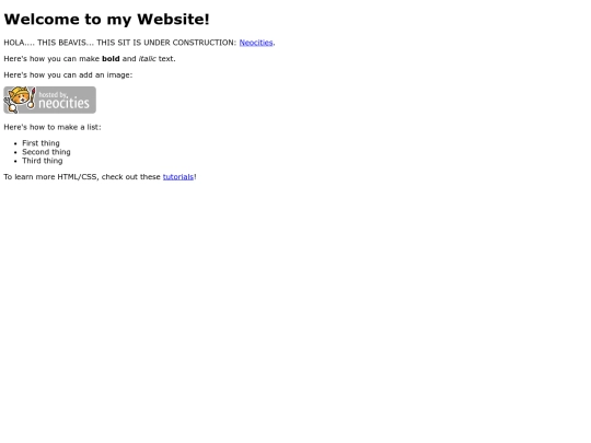 Website screenshot