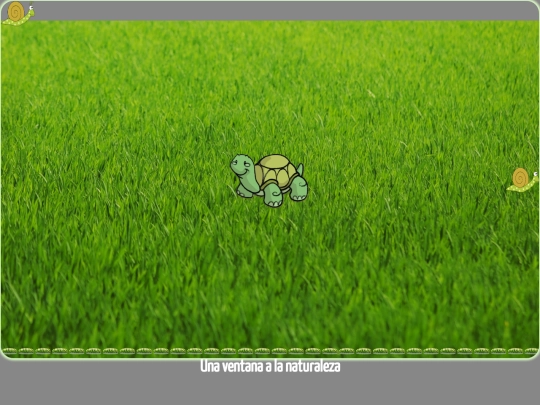 Mod03_Tema1/Mod03_Tema1 screenshot