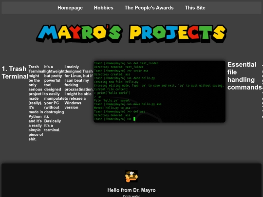 Website screenshot