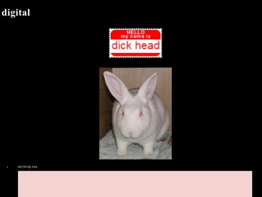 digital screenshot