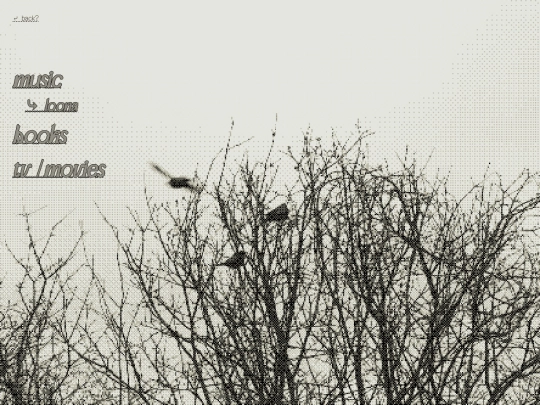 media screenshot