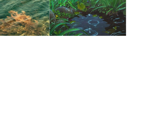 moodboard screenshot