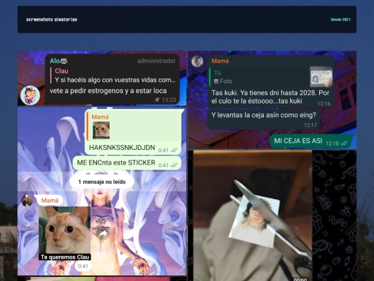 gatas screenshot