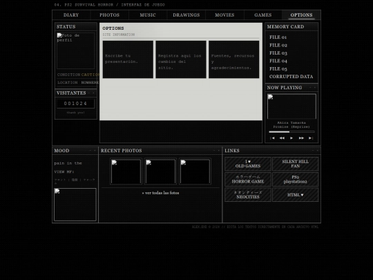 options screenshot