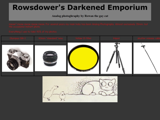 portfolio screenshot