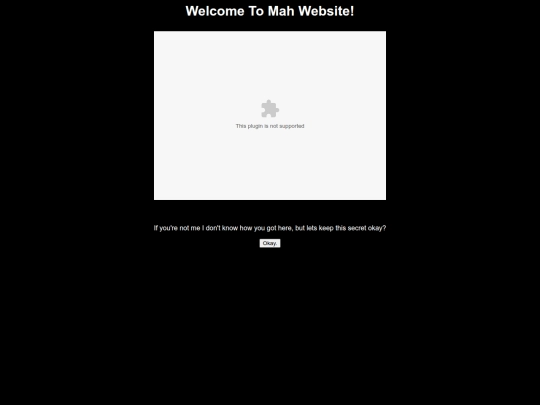 Flash-site screenshot