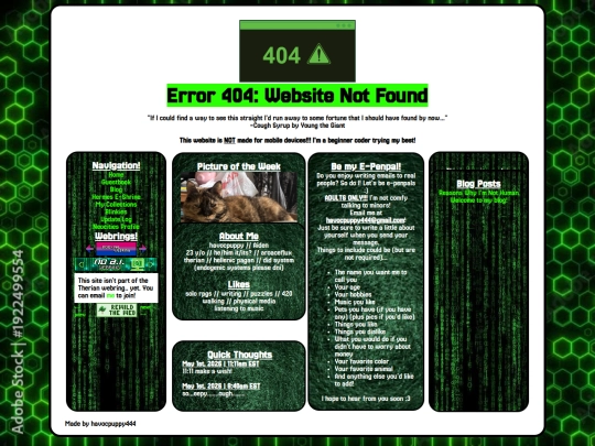 Website screenshot