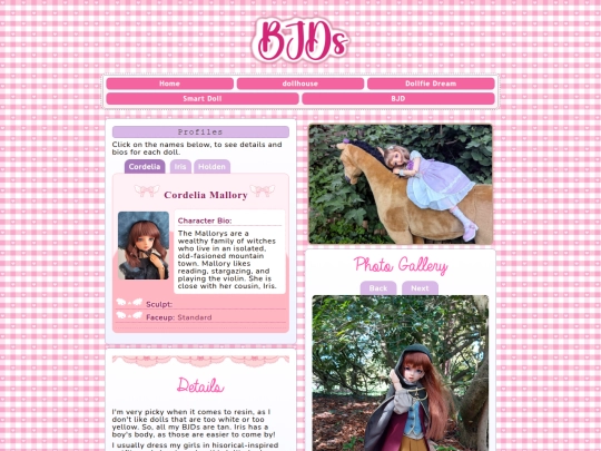BJD screenshot