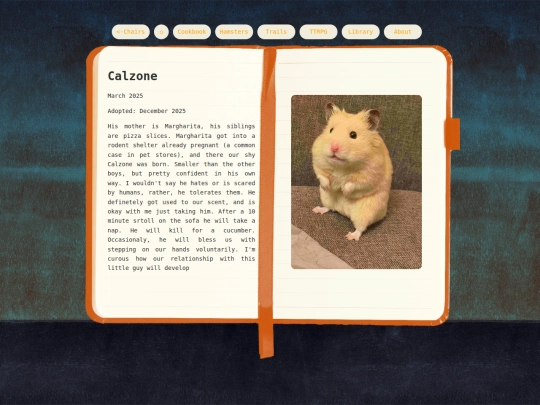 MiscNotebook/Calzone screenshot