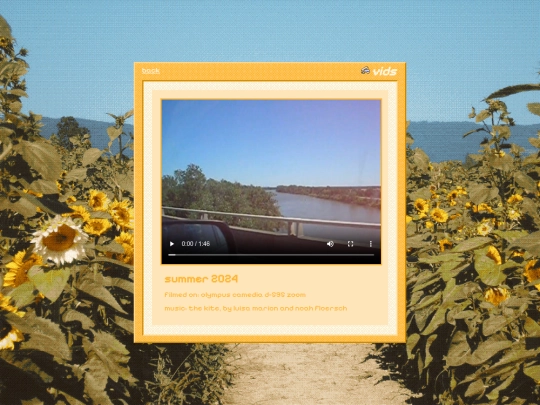 vids screenshot