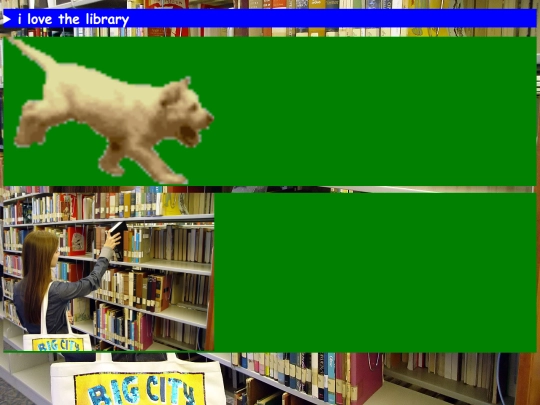 bpl screenshot