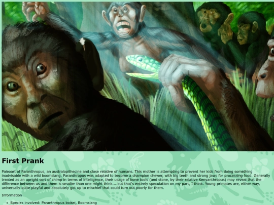 paran screenshot