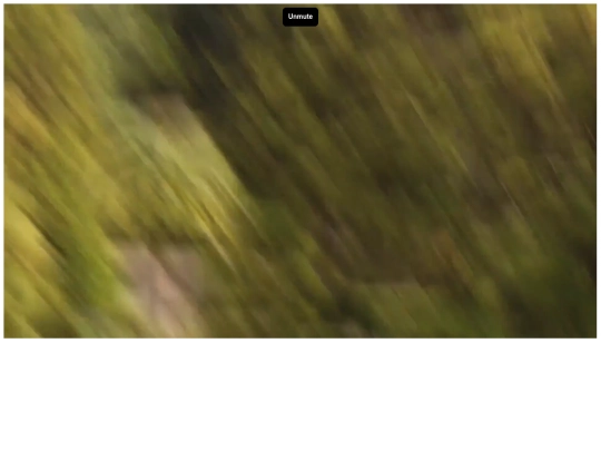 adv/flut screenshot