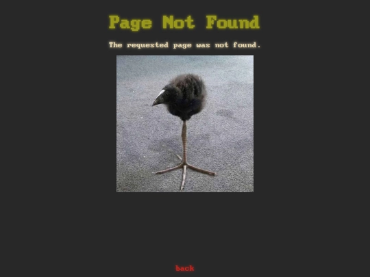 not_found screenshot