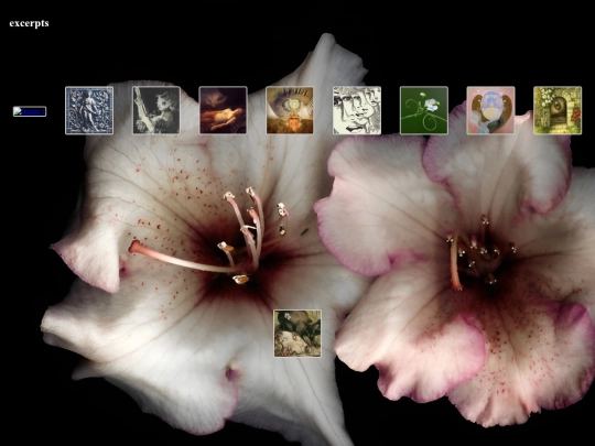 excerptdraft screenshot