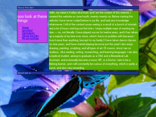 aboutthedev screenshot