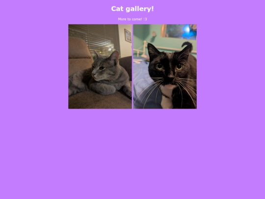 Catfiles screenshot