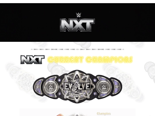 wweevolvechampionship screenshot