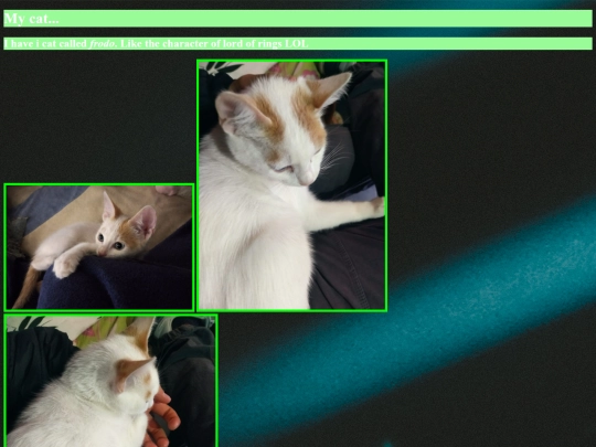 Mycat screenshot