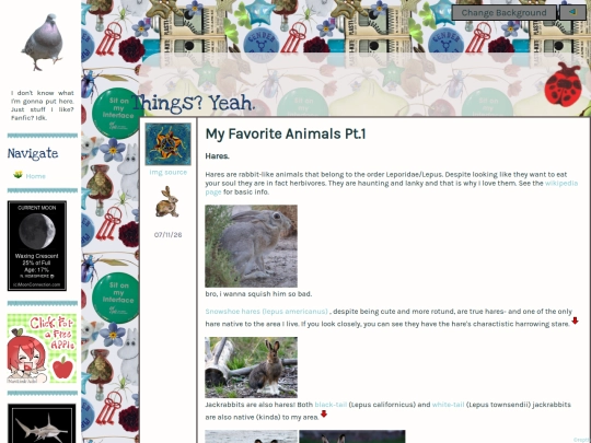 misc screenshot
