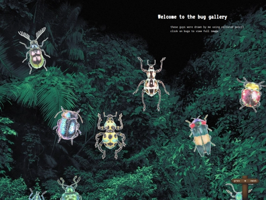 bugs screenshot