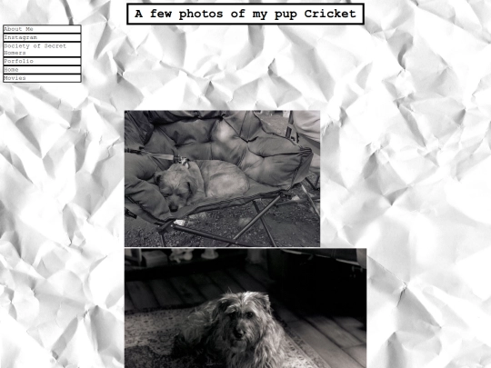 pages/cricketpics screenshot